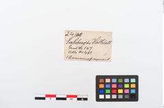 Etiketten zu Bronzehohlblecharmring (NHMW-PRAE-024189)